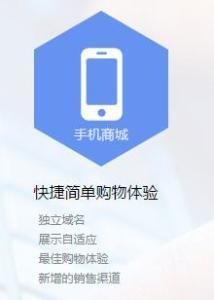 手機商城軟件的技術開發與銷售